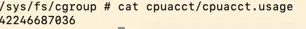 cpuacct/cpuacct.usage